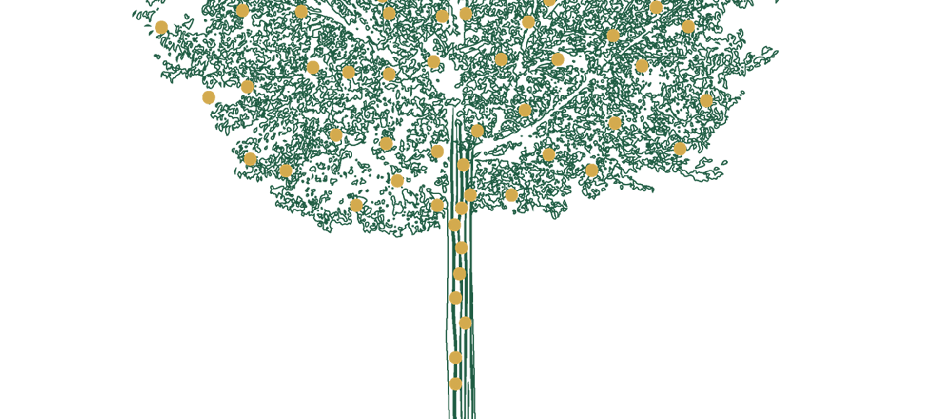 Bicentennial Celebration Weekend